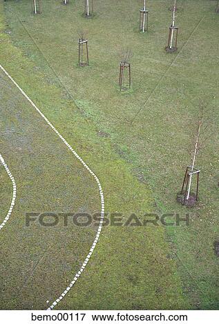 Stock Photo - shape, yard, grass, above, below, away, walk. Fotosearch