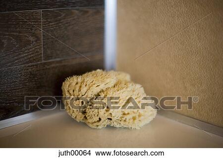 sponge, bad, hygienics, toiletries, natural product, cleanliness, still life View Large Photo Image Picture - sponge, bad, hygienics, toiletries, natural product, cleanliness, still life. Fotosearch