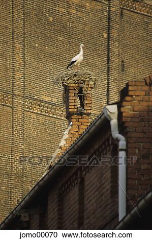 stork, brick Gothic, stork nest, eyrie, chimney, brick, bricks View Large Photo Image Stock Image - stork, brick Gothic, stork nest, eyrie, chimney, brick, bricks. Fotosearch