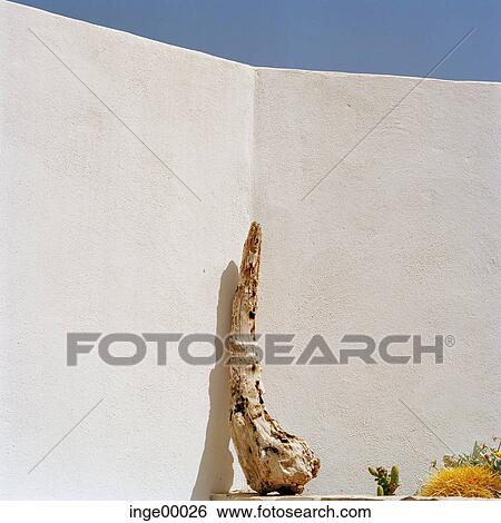 sun, heat, travel, summer holidays, cactus, blue sky, still life View Large Photo Image Stock Photograph - sun, heat, travel, summer holidays, cactus, blue sky, still life. Fotosearch