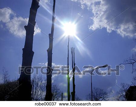 sun, lantern, street lamp, sky, clouds, light, blue View Large Photo Image Stock Photo - sun, lantern, street lamp, sky, clouds, light, blue. Fotosearch
