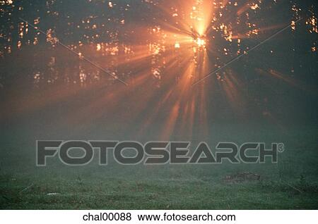 Stock Photo - sunrise, daybreak, fog, morning, autumn, october. Fotosearch