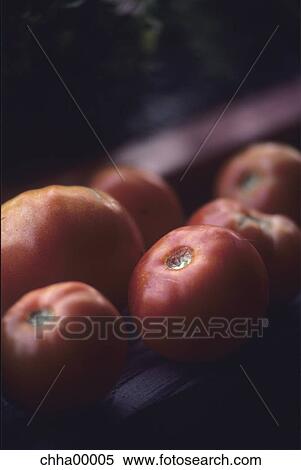 Stock Photography - tomato, tomatos, nutrition, health, vegetables, healthy, agriculture. Fotosearch