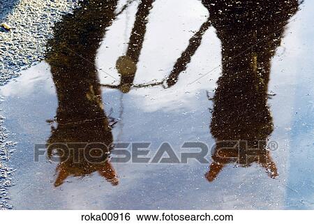 Stock Photograph - vienna, carriage, cabby, horses, reflection, reflecting, tourism. Fotosearch