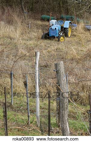 vineyard, wine region, grapevine, vine, tractor, old, disused View Large Photo Image Stock Image - vineyard, wine region, grapevine, vine, tractor, old, disused. Fotosearch