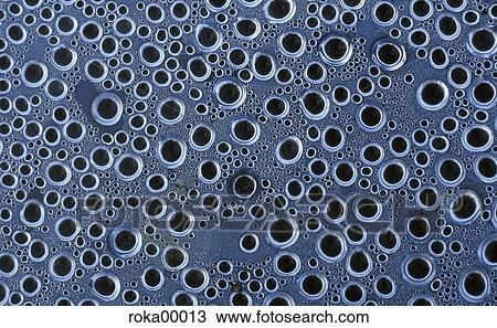 water, waters, aquatic, drip, drop, to toot, to wind View Large Photo Image Stock Image - water, waters, aquatic, drip, drop, to toot, to wind. Fotosearch