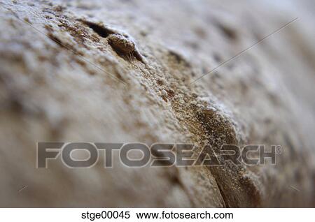 winter, bread, liability, crust, flour, structure, macro View Large Photo Image Stock Photography - winter, bread, liability, crust, flour, structure, macro. Fotosearch