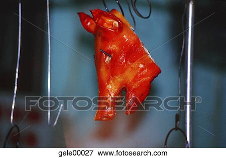 banquet, cambrel, bit, flesh, entree, hungry, meat View Large Photo Image Stock Photo - banquet, cambrel, bit, flesh, entree, hungry, meat. Fotosearch