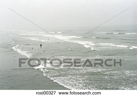 Stock Photo - beach, Oregon, USA, coast, sand, sea, wideness. Fotosearch