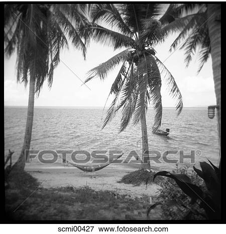 boat, beach, holidays, vacation, Thailand, sea, palms View Large Photo Image Stock Photo - boat, beach, holidays, vacation, Thailand, sea, palms. Fotosearch