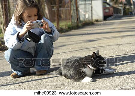cat, pelt, hangover, cattail, animals, pets, male cat View Large Photo Image Stock Image - cat, pelt, hangover, cattail, animals, pets, male cat. Fotosearch