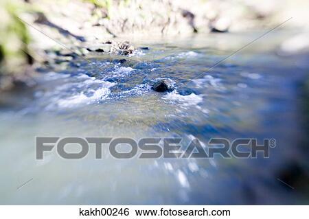course of a stream, Earth, grass, water, waters, aquatic, flow View Large Photo Image Stock Photograph - course of a stream, Earth, grass, water, waters, aquatic, flow. Fotosearch