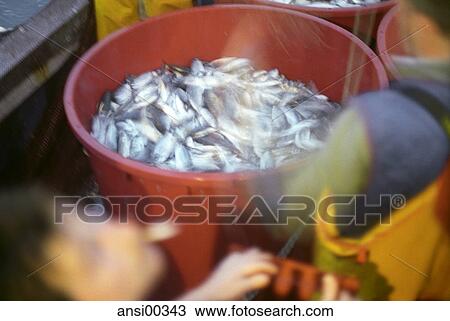 Stock Image - Daily, gain, chore, boat, citation, dedication, aboard. Fotosearch