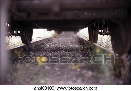 detail, green, base, transportation, crime scene, bottom, ground View Large Photo Image Stock Photo - detail, green, base, transportation, crime scene, bottom, ground. Fotosearch