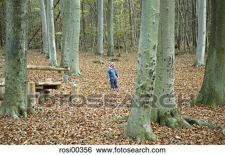 Easter egg hunt, small, young, playground, swing, teeterboard, autumn View Large Photo Image Stock Photograph - Easter egg hunt, small, young, playground, swing, teeterboard, autumn. Fotosearch