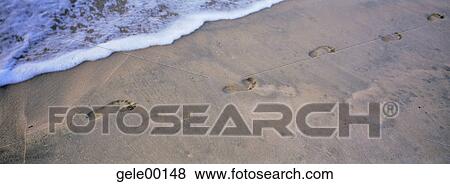 foot, Beach, beaches, beach walk, beach life, Asia View Large Photo Image Stock Photo - foot, Beach, beaches, beach walk, beach life, Asia. Fotosearch