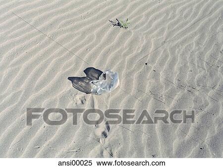 Stock Photography - holiday, at the sea, careless, delicate, grass, PET, banner. Fotosearch