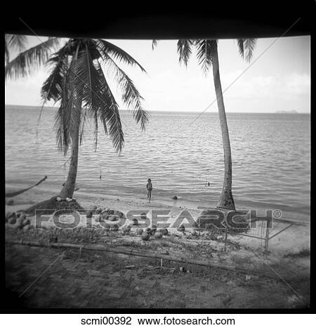 holidays, beach, vacation, Thailand, palms, water, waters View Large Photo Image Stock Image - holidays, beach, vacation, Thailand, palms, water, waters. Fotosearch