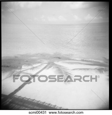 holidays, beach, vacation, Thailand, sea, palms, water View Large Photo Image Stock Image - holidays, beach, vacation, Thailand, sea, palms, water. Fotosearch