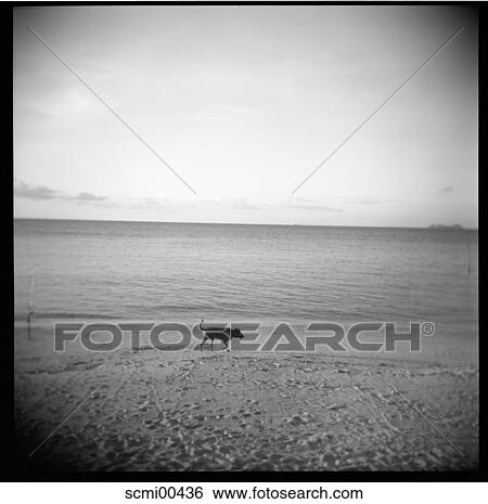 holidays, beach, vacation, Thailand, sea, water, waters View Large Photo Image Stock Photograph - holidays, beach, vacation, Thailand, sea, water, waters. Fotosearch