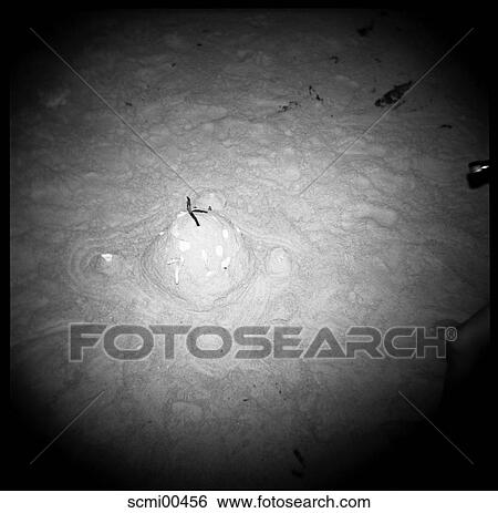 Stock Photograph - holidays, beach, vacation, Thailand, play, castle, sand. Fotosearch