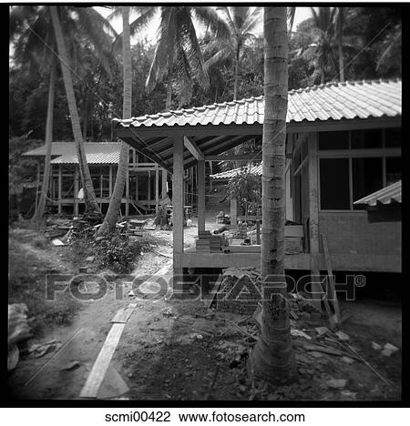 holidays, bungalows, vacation, Thailand, building site, site, palms View Large Photo Image Stock Image - holidays, bungalows, vacation, Thailand, building site, site, palms. Fotosearch