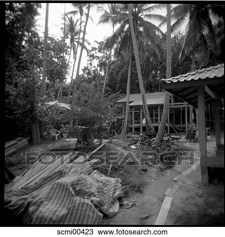 holidays, bungalows, vacation, Thailand, building site, site, palms View Large Photo Image Stock Image - holidays, bungalows, vacation, Thailand, building site, site, palms. Fotosearch