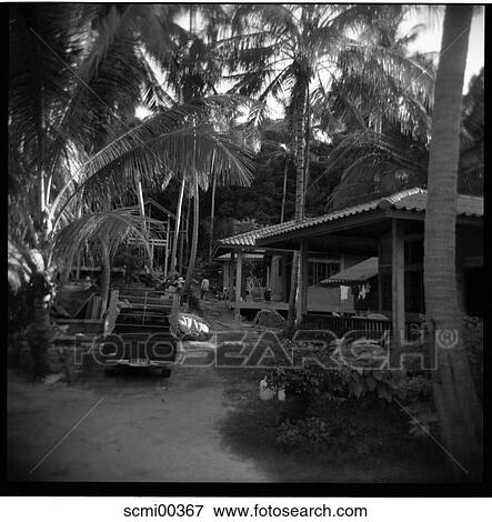 holidays, vacation, Thailand, palms, building site, site, build View Large Photo Image Stock Photo - holidays, vacation, Thailand, palms, building site, site, build. Fotosearch