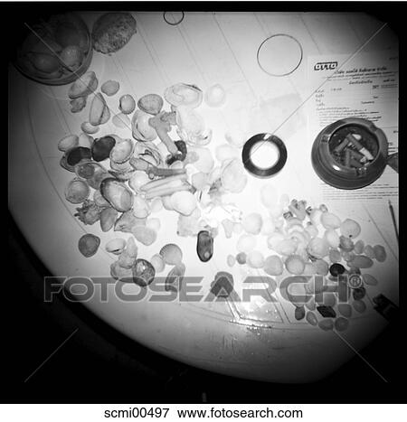 holidays, vacation, Thailand, shells, table, ashtray, ashtrays View Large Photo Image Stock Photo - holidays, vacation, Thailand, shells, table, ashtray, ashtrays. Fotosearch