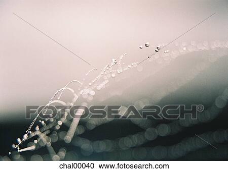 illusion, misty, foggy, fog, dew View Large Photo Image Stock Image - illusion, misty, foggy, fog, dew. Fotosearch