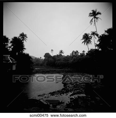Stock Photography - lake, holidays, vacation, Thailand, palms, water, waters. Fotosearch