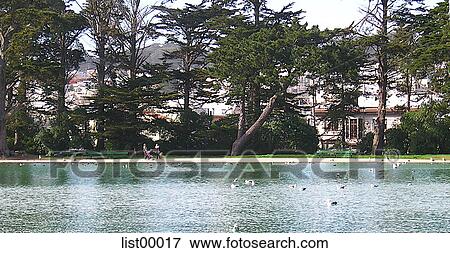 Stock Photo - lakefront, water, lake, Golden Gate park, city, urban, architecture. Fotosearch