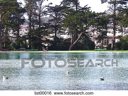 lakefront, water, lake, Golden Gate park, city, urban, architecture View Large Photo Image Stock Photograph - lakefront, water, lake, Golden Gate park, city, urban, architecture. Fotosearch