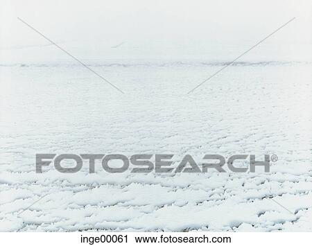 landscape, blowing snow, winter, scenery, meadow, wideness, liberty View Large Photo Image Stock Image - landscape, blowing snow, winter, scenery, meadow, wideness, liberty. Fotosearch