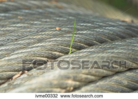 Stock Image - low in nutrients, reconquest, nature, living space, fascination, small, ratio. Fotosearch