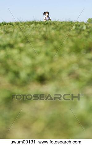 Stock Image - move, delight, gladness, green, summers, emersion, loom. Fotosearch