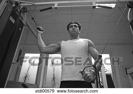 muscleman, strength training, build-up of muscles, bodybuilding, teddy, arms View Large Photo Image Stock Photo - muscleman, strength training, build-up of muscles, bodybuilding, teddy, arms. Fotosearch