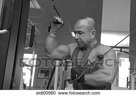 muscleman, teddy, build-up of muscles, strength training, bodybuilding, arms View Large Photo Image Stock Image - muscleman, teddy, build-up of muscles, strength training, bodybuilding, arms. Fotosearch