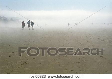 Oregon, USA, Strand, Sand View Large Photo Image Stock Image - Oregon, USA, Strand, Sand. Fotosearch
