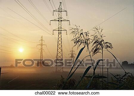 power, lines, sunrise, daybreak, misty, fog, foggy View Large Photo Image Stock Image - power, lines, sunrise, daybreak, misty, fog, foggy. Fotosearch
