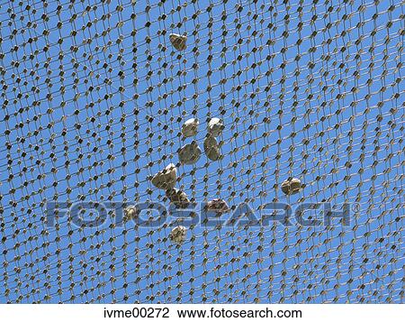 protection, measures, permafrost, guard, global warming, lattice, gallery View Large Photo Image Stock Image - protection, measures, permafrost, guard, global warming, lattice, gallery. Fotosearch