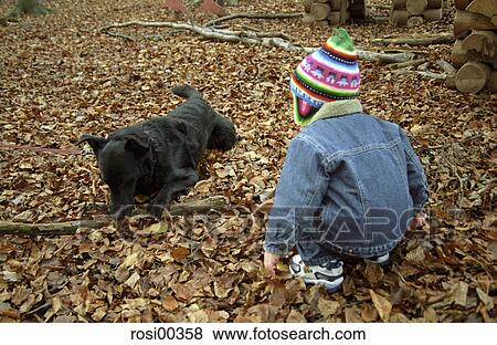 small, young, playground, autumn, October, November, play View Large Photo Image Stock Photo - small, young, playground, autumn, October, November, play. Fotosearch