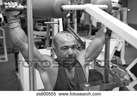 Stock Photography - strength training, teddy, muscleman, build-up of muscles, bodybuilding, arms. Fotosearch