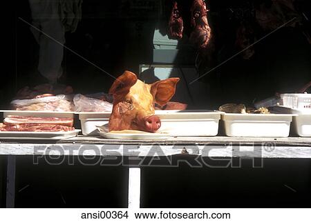 Picture - surreal, omnivore, rank, Shopping, offer, pig, animal. Fotosearch