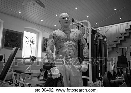 torso, bodybuilding, house, gym, shop, arms View Large Photo Image Stock Image - torso, bodybuilding, house, gym, shop, arms. Fotosearch