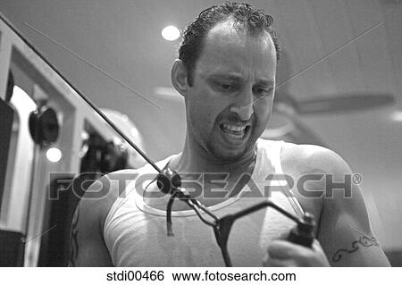 Stock Photograph - upper part of the body, bodybuilding, torso, sport, shop, arms. Fotosearch