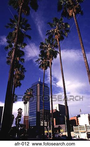 Palm Lined Avenue and Glass Fronted Office Harare View Large Photo Image Stock Image - Palm Lined Avenue and Glass Fronted Office Harare. Fotosearch