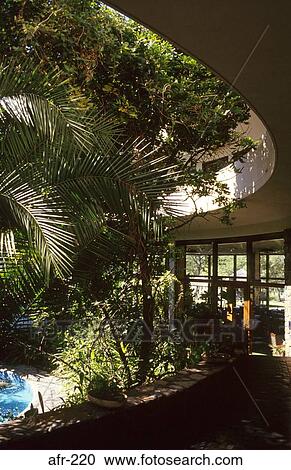 Palm Trees in Safari Lodge Atrium Zimbabwe View Large Photo Image Stock Image - Palm Trees in Safari Lodge Atrium Zimbabwe. Fotosearch