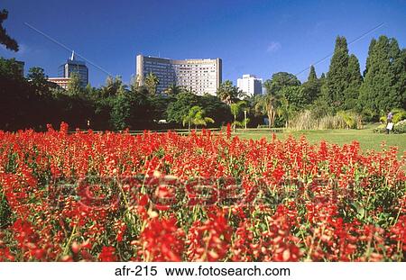 Park in Harare Zimbabwe View Large Photo Image Stock Photography - Park in Harare Zimbabwe. Fotosearch
