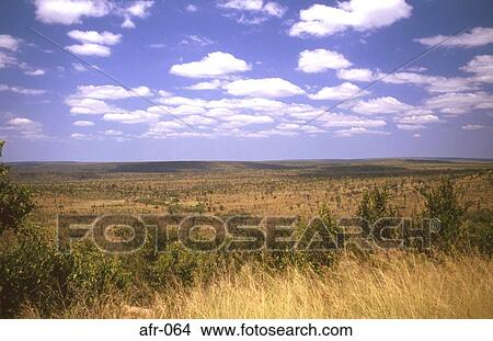 Scrub Covered Landscape Kruger National Park South Africa View Large Photo Image Picture - Scrub Covered Landscape Kruger National Park South Africa. Fotosearch